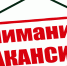 О конкурсе на замещение вакантной должности муниципальной службы главный специалист отдела учета и отчетности администрации Ульчского муниципального района Хабаровского края - Ульчский район