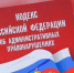 Выездной рейд административной комиссии по выявлению административных правонарушений - Ульчский район