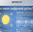 Цифровой рубль в бюджетном процессе - Ульчский район