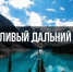 КОНКУРС «БЕРЕЖЛИВЫЙ ДАЛЬНИЙ ВОСТОК» - Ульчский район