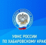 Ответы на вопросы по единому налоговому счету можно оперативно получить в МАХ-канале - Ульчский район